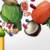 Guide to Healthy Supplements