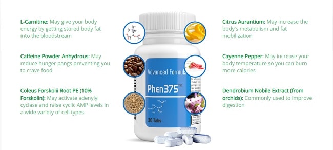 how weight loss pills work