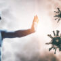 Unlocking Your Body's Defenders: Boosting Your Immune System
