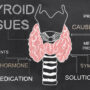 Understanding the Thyroid Gland