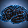 5 Tips to Help Improve Brain Health