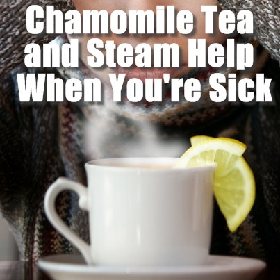 Chamomile-Tea-And-Warm-Steam-When-Sick1