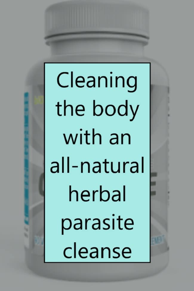 Cleaning the body with an all-natural herbal parasite cleanse