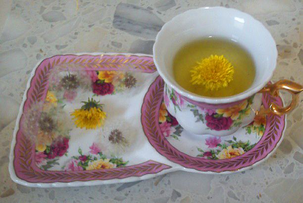 Dandelion Tea by Utopia au