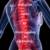 A Definitive Guide to Understanding & Addressing Back Pain