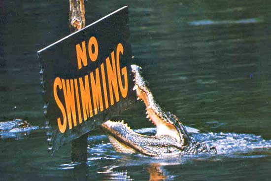 HSW-No_Swimming_sign