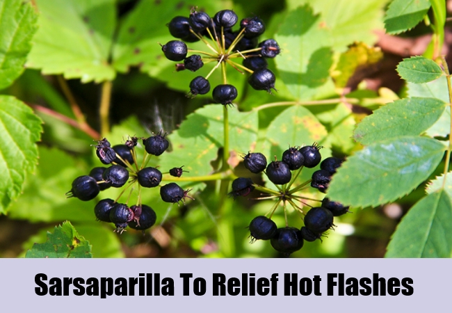Sarsaparilla-To-Relief-Hot-Flashes