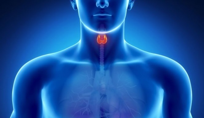 Hypothyroidism