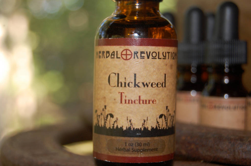 chickweed tincture