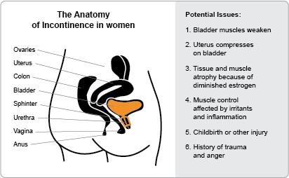 first signs of menopause