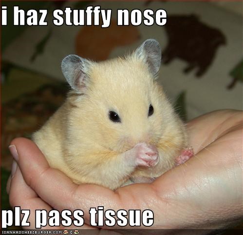 stuffy nose