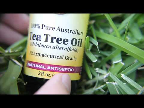 tea tree oil