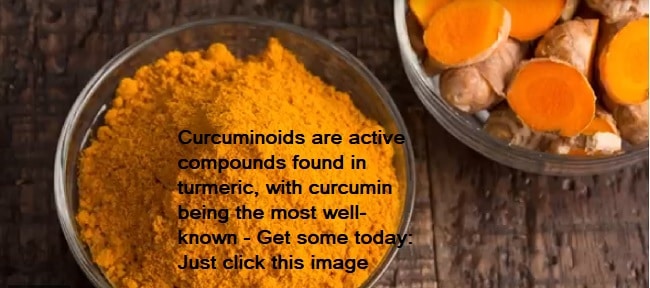 turmeric contains health-promoting compounds called curcuminoids 